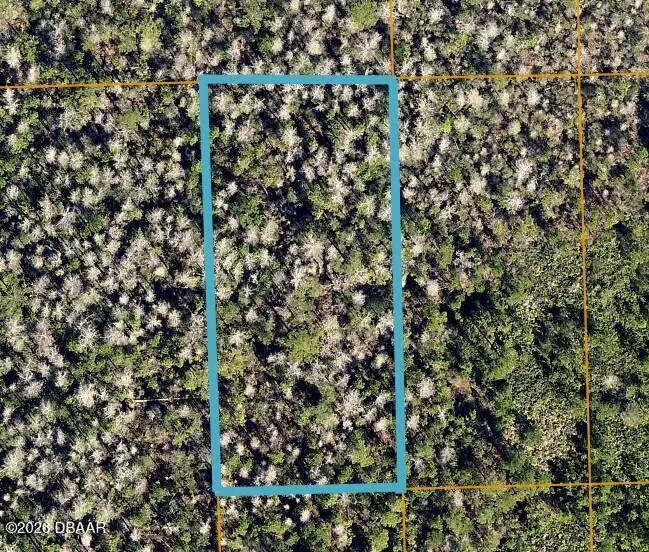 0 No Street County, Lake Helen, FL 32744 - #1