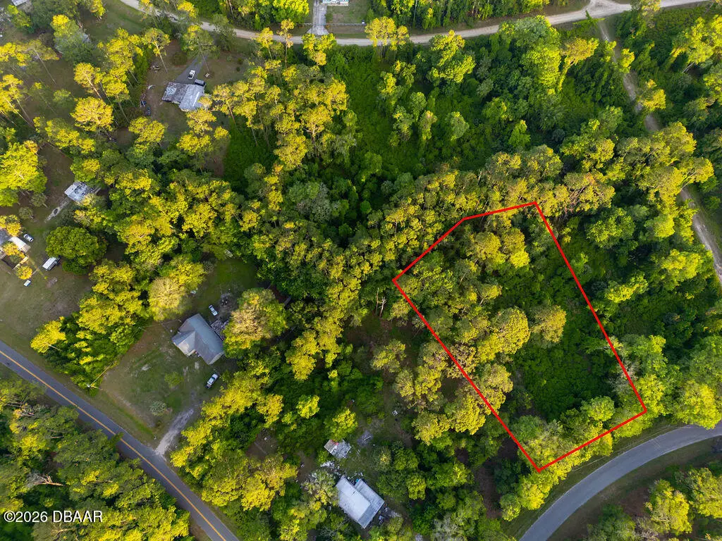 172 Whispering Pines Road, Georgetown, FL 32139 - #1