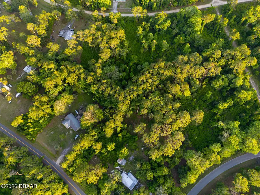 172 Whispering Pines Road, Georgetown, FL 32139 - #2