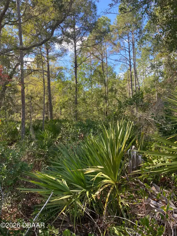 820 Old Bubbly Road, Pierson, FL 32180