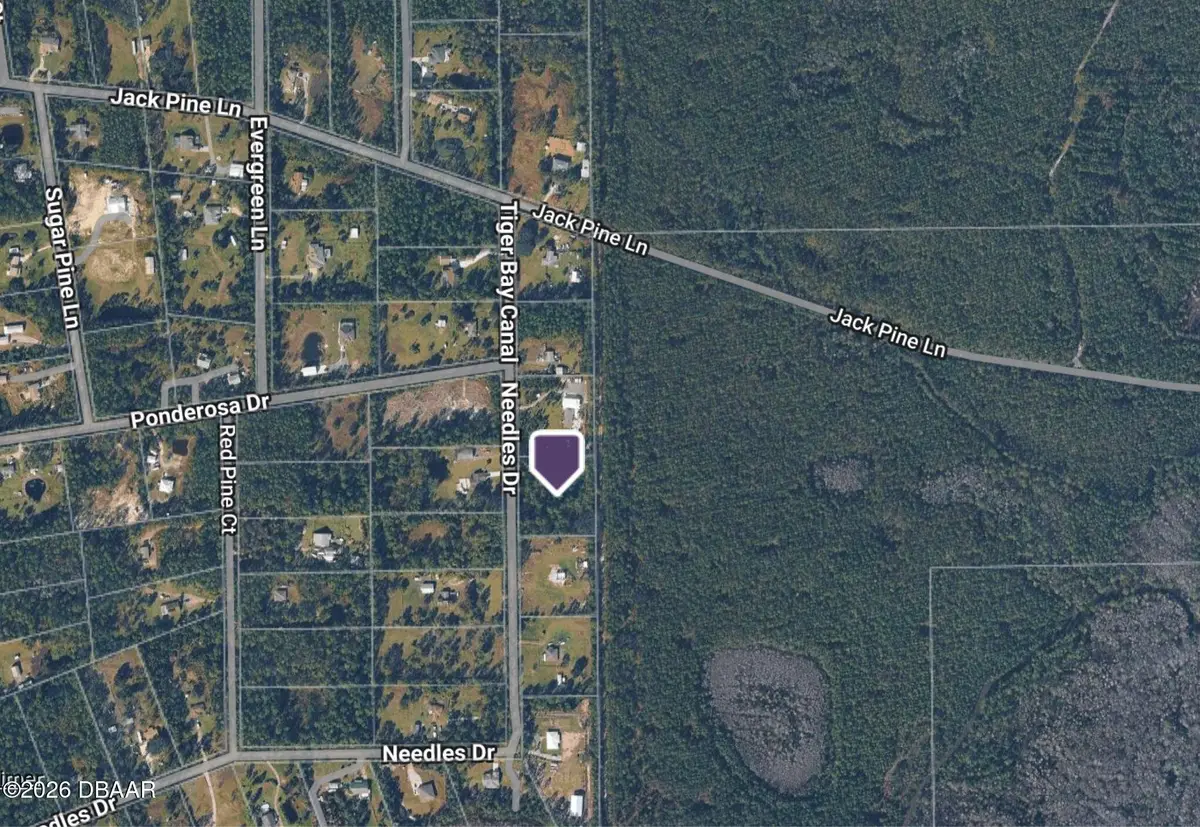 442 Needles Drive, Ormond Beach, FL 32174 - #1