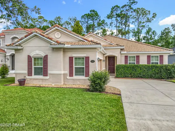 3361 Pegaso Avenue, New Smyrna Beach, FL 32168