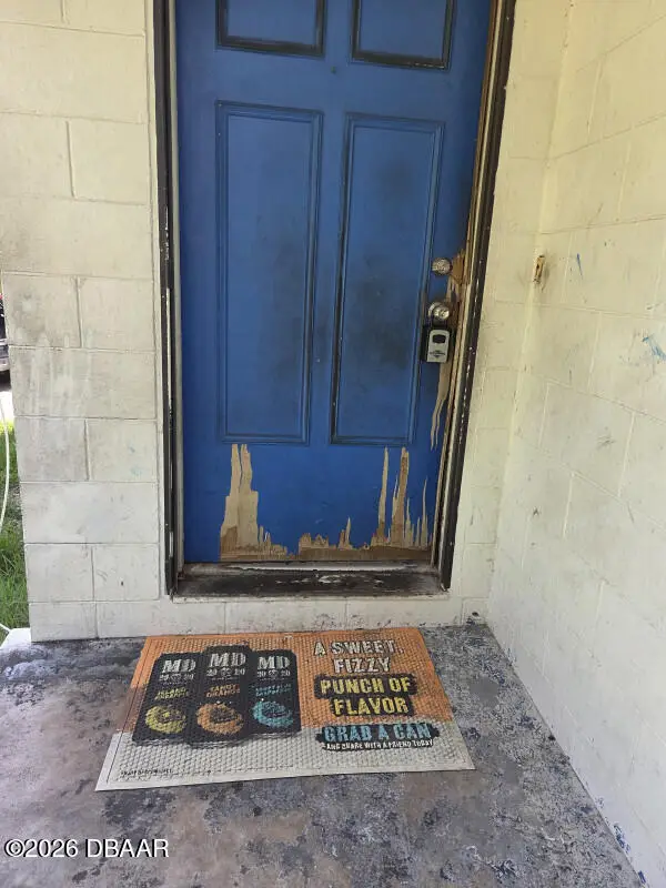 637 Thorpe Avenue, Orange City, FL 32763 - #3