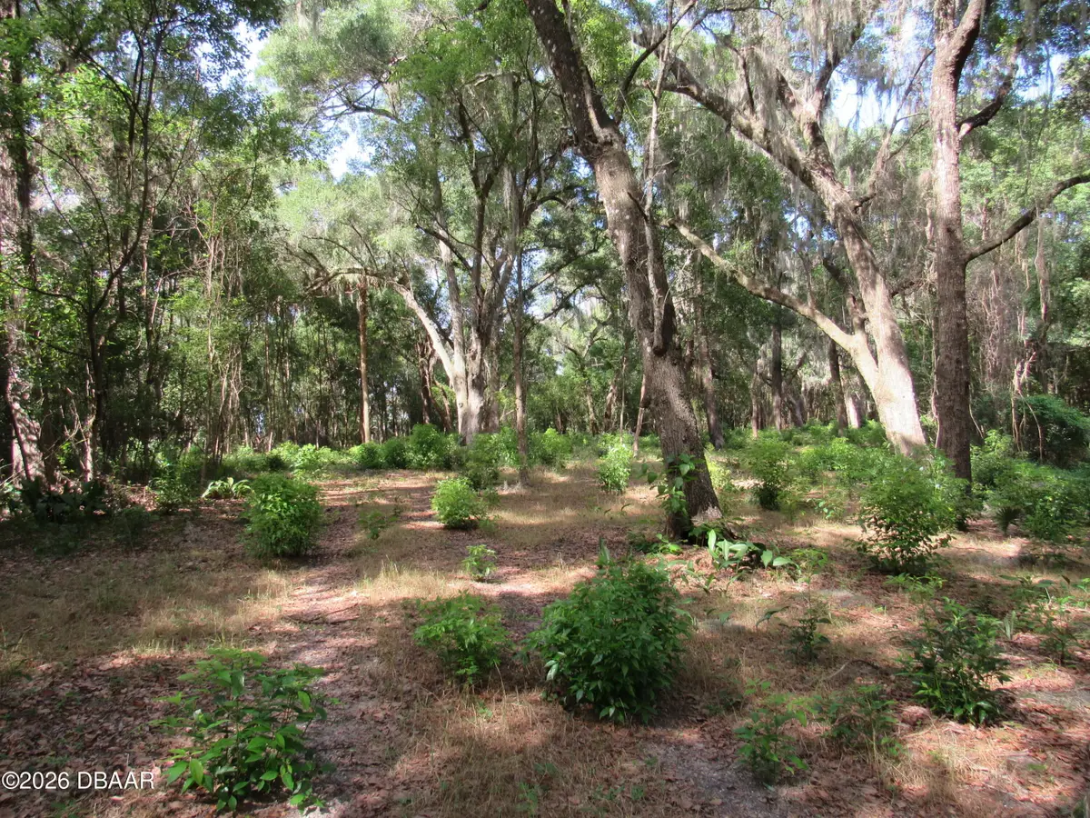 0 Oak Valley Drive, Deland, FL 32720 - #1
