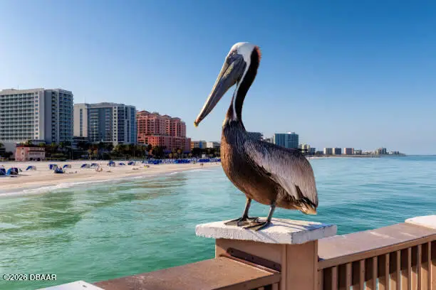 3855 S Atlantic Avenue #1205A, Daytona Beach Shores, FL 32118 - #2
