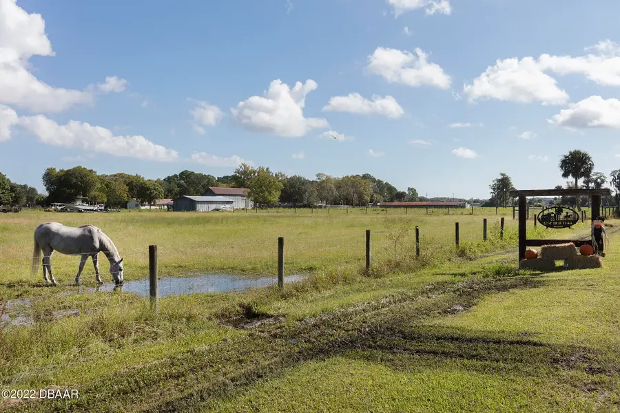 721 Lost Tree Trail, New Smyrna Beach, FL 32168 - #3