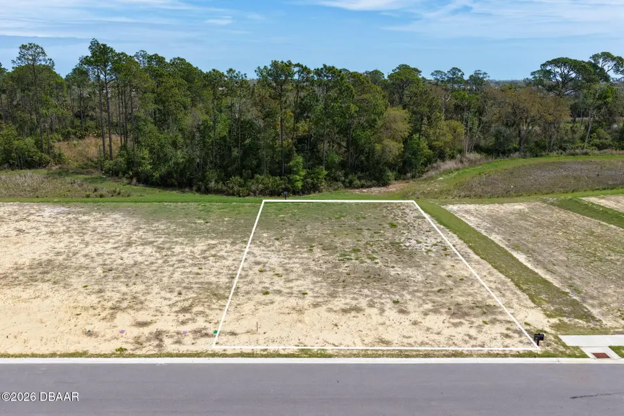 222 Stillwater Drive, Flagler Beach, FL 32136 - #3