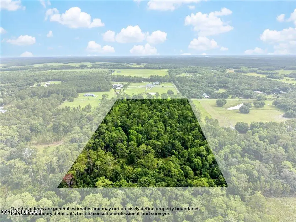 4600 Saddle Creek Run Road, New Smyrna Beach, FL 32168 - #1