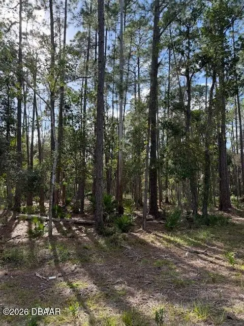 207 Ocala Court, Georgetown, FL 32139