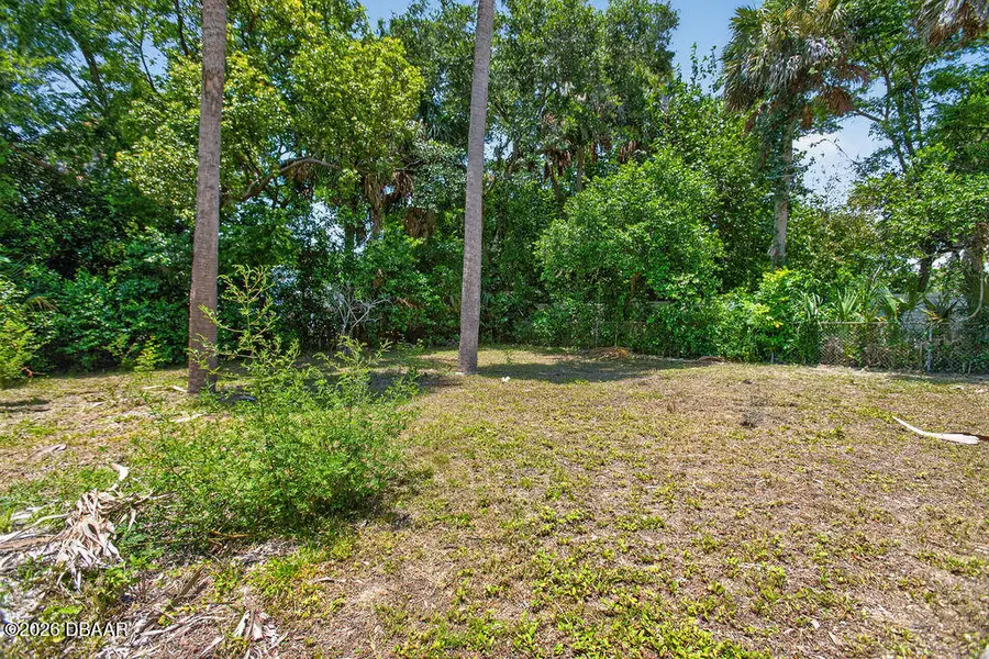 245 Jefferson Street, Ormond Beach, FL 32174 - #3