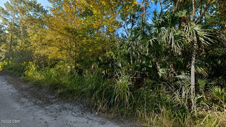 0 Citrus Drive, Edgewater, FL 32141 - #2