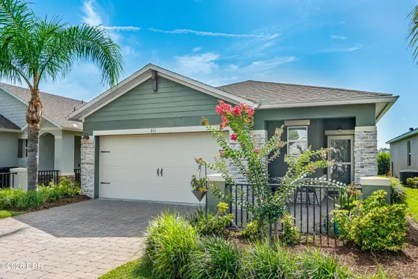 211 Caryota Court, New Smyrna Beach, FL 32168