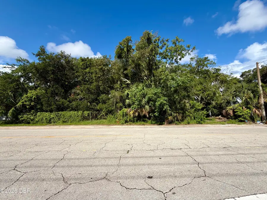 442 N Charles Street, Daytona Beach, FL 32114 - #2