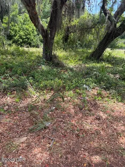 1511 Russell Avenue, Eustis, FL 32726 - #1