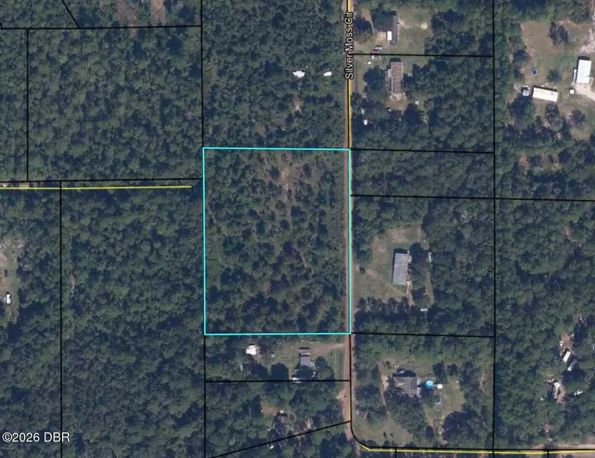 0 Silver Moss Circle, Middleburg, FL 32068 - #1
