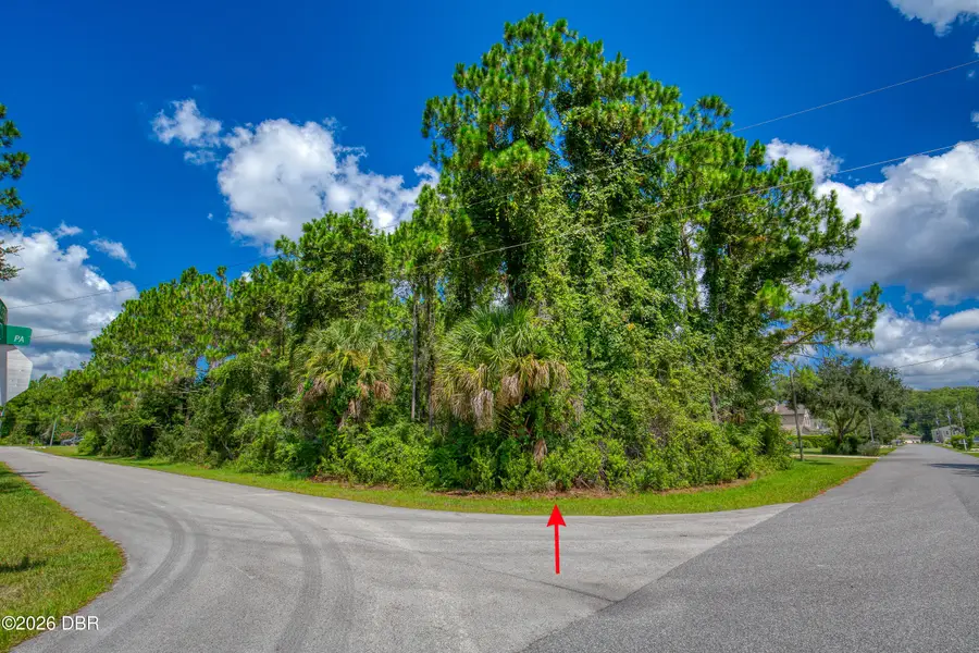 32 Uhl Path, Palm Coast, FL 32164 - #3