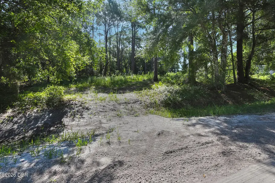 325 Garden Lane, Bunnell, FL 32110 - #2