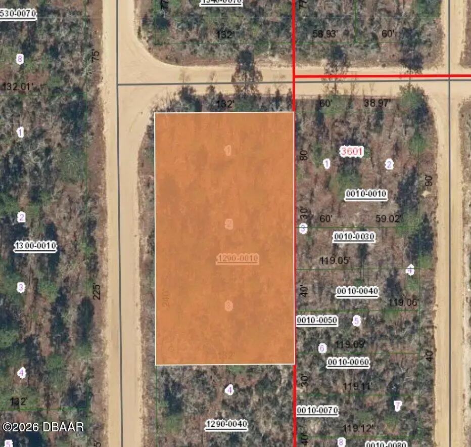 XX Orchid Avenue, Interlachen, FL 32148 - #1