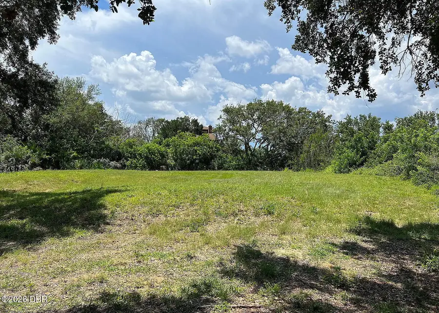 1102 Canopy Oak Lane, Ponce Inlet, FL 32127 - #3