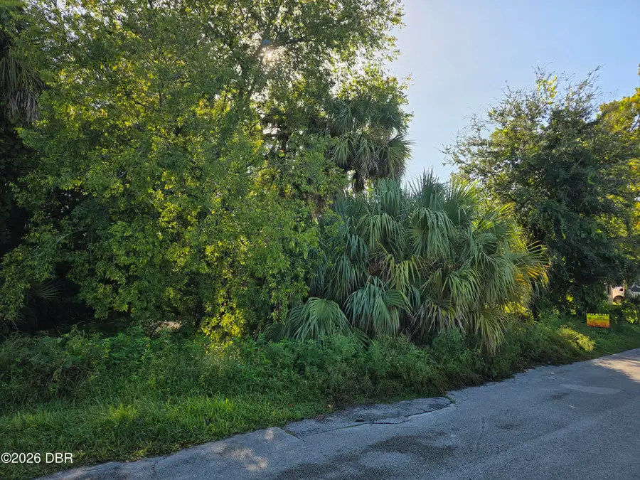 1201 Powers Avenue, Holly Hill, FL 32117 - #3