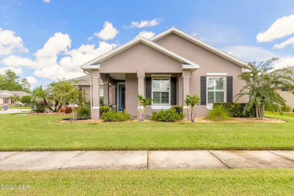 3659 Cesi Avenue, New Smyrna Beach, FL 32168