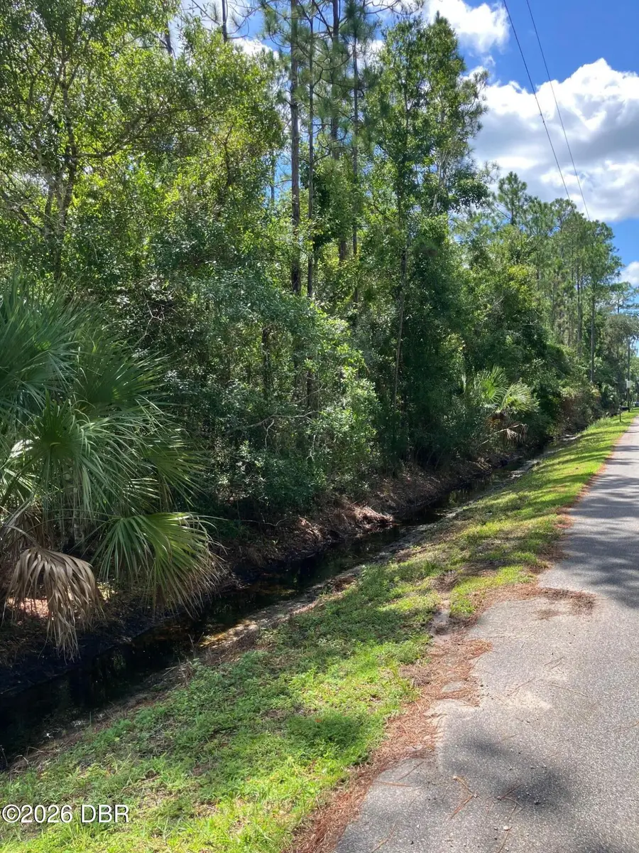 0 Guava Drive, Port Orange, FL 32128 - #2