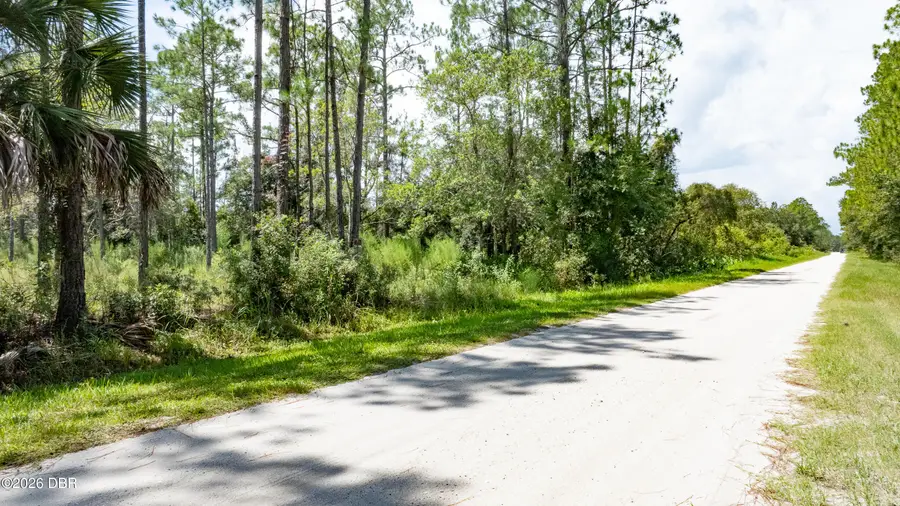 5669 Mango Avenue, Bunnell, FL 32110 - #2