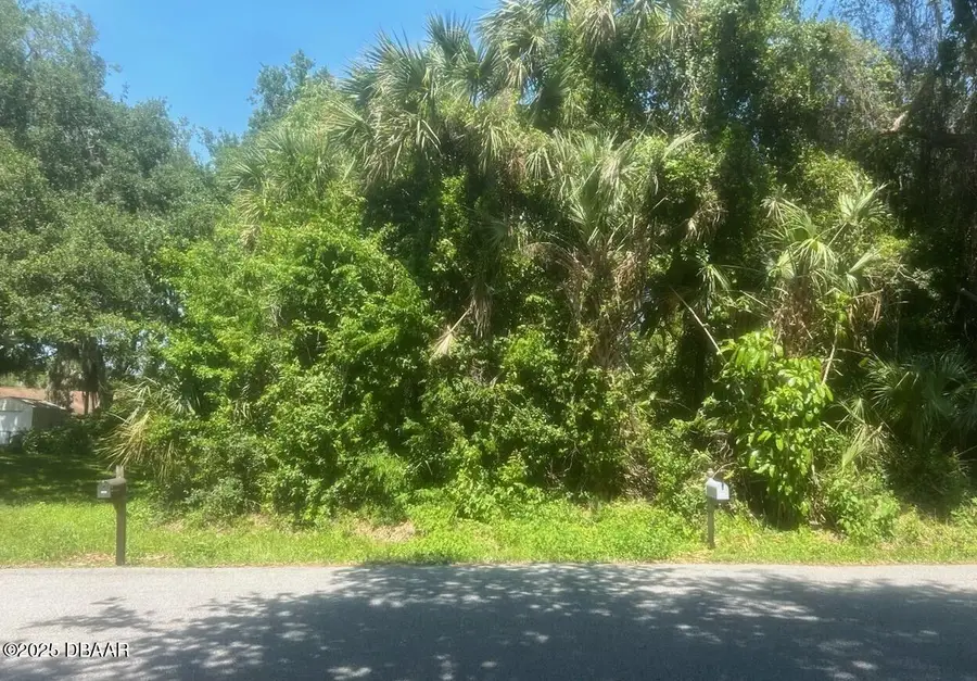 00 Orange Tree Drive, Edgewater, FL 32141 - #2