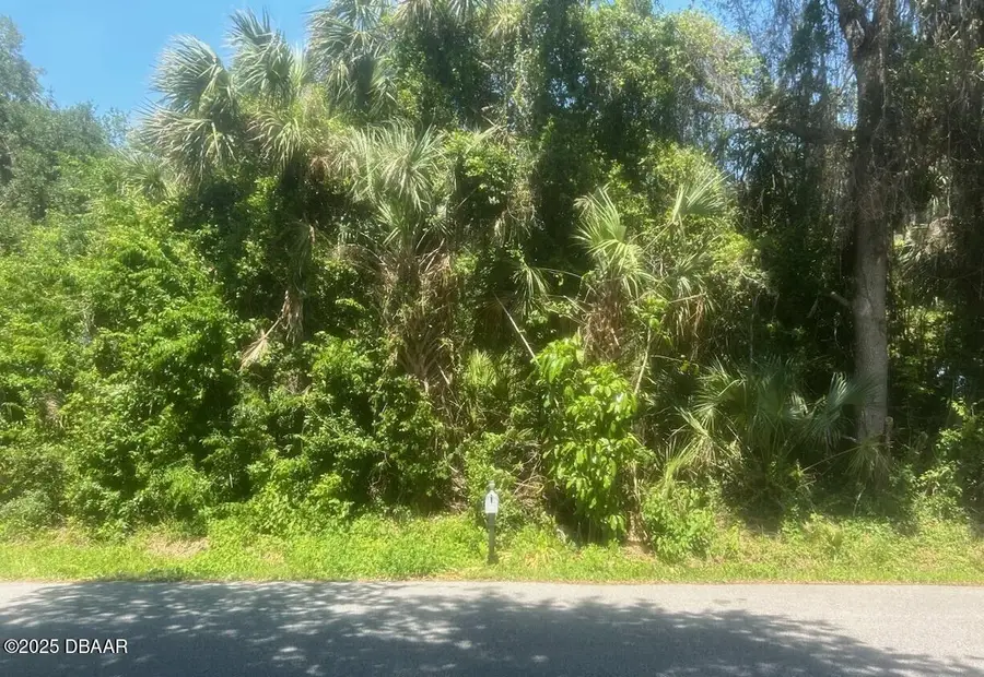 00 Orange Tree Drive, Edgewater, FL 32141 - #3