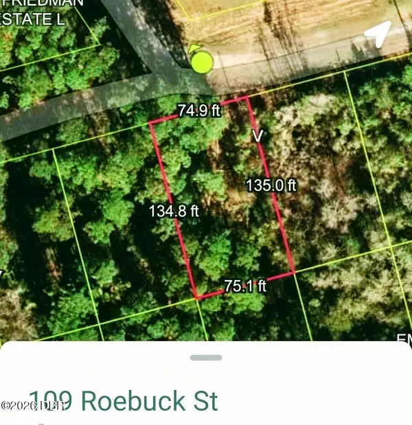 109 Roebuck Road, Georgetown, FL 32139