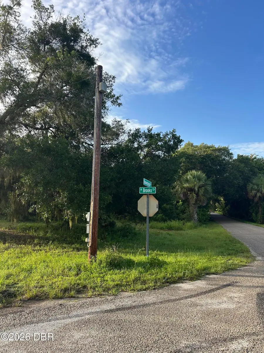 327 Beaver Brook Lane, Oak Hill, FL 32759 - #3