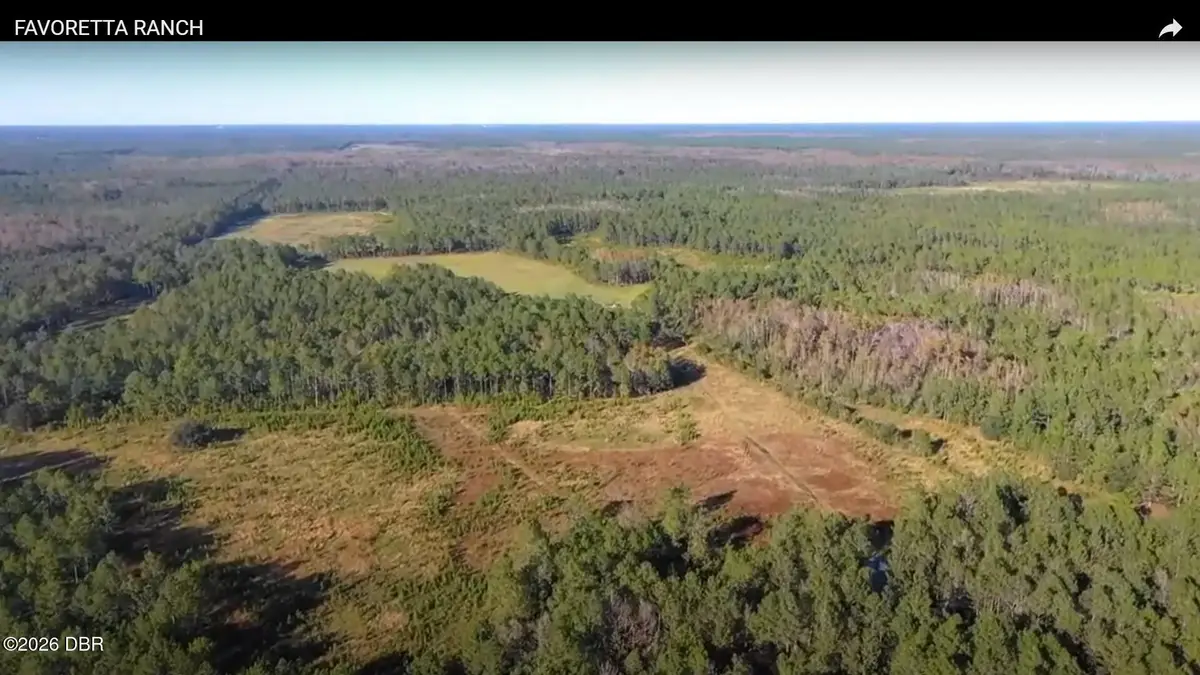 0 Twin Lakes Road, Bunnell, FL 32110 - #1