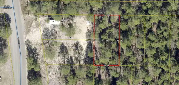 TBD No Named Road, DeFuniak Springs, FL 32433