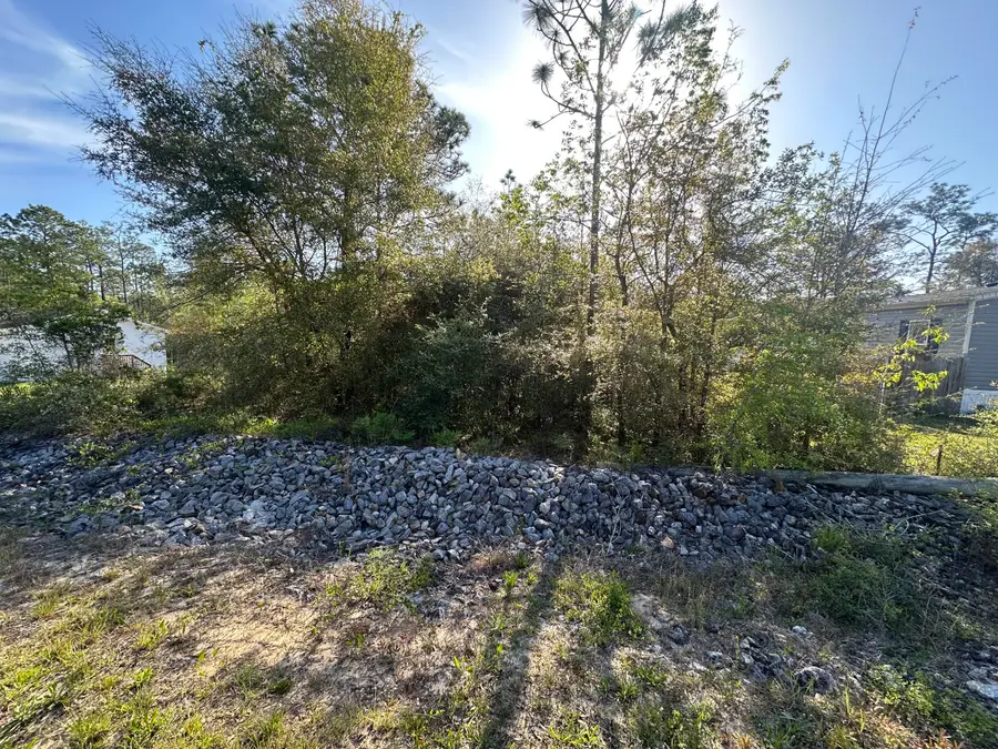 XXX Trout Drive, Defuniak Springs, FL 32433 - #3