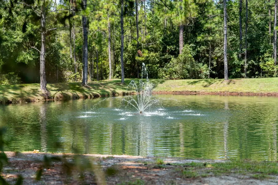 Lot 53 Hibernate Way, Freeport, FL 32439 - #3