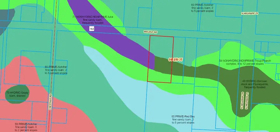 2000 Molino Road, Molino, FL 32577 - #2