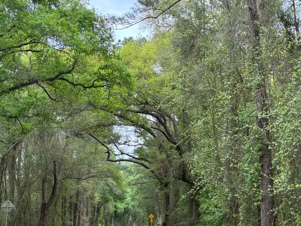 NA S County Hwy 183, Ponce De Leon, FL 32455