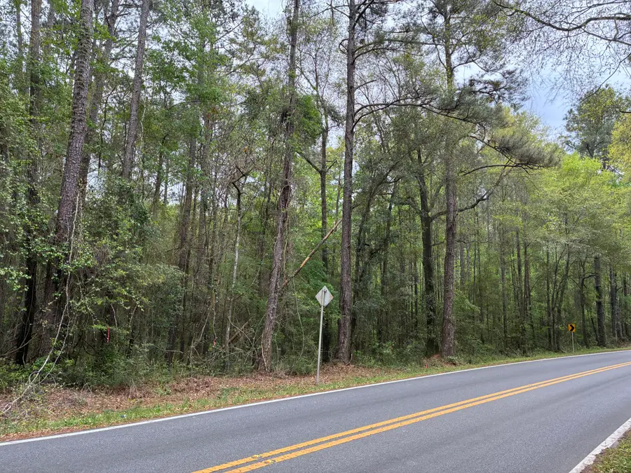 NA S County Hwy 183, Ponce De Leon, FL 32455 - #2