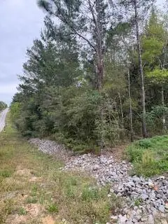 Lot 4 W Violet West, DeFuniak Springs, FL 32433