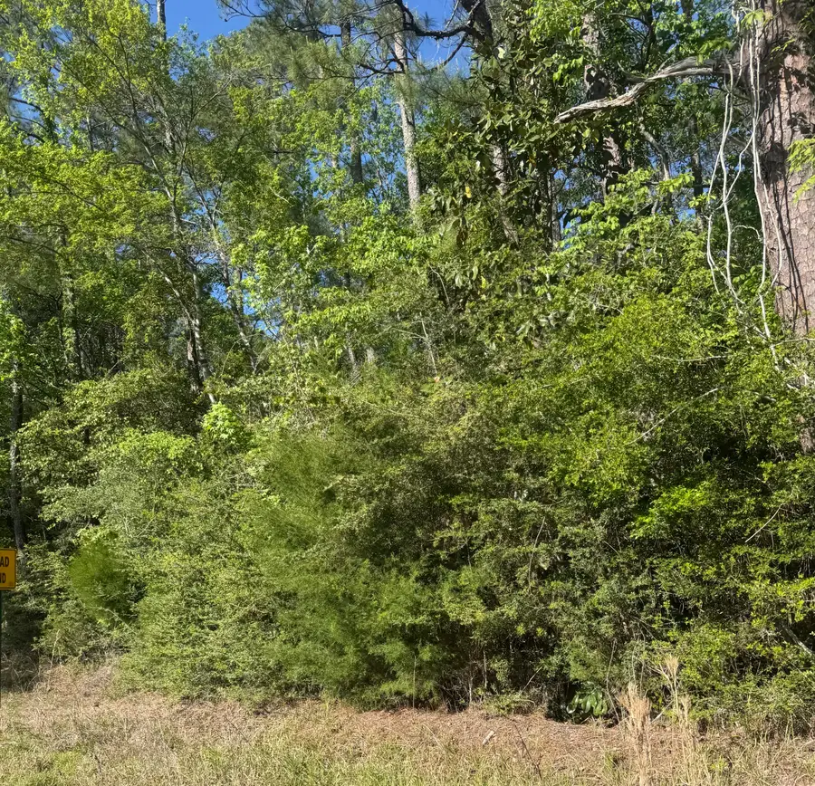 10 Acres Bob Sikes Road, Defuniak Springs, FL 32435 - #2