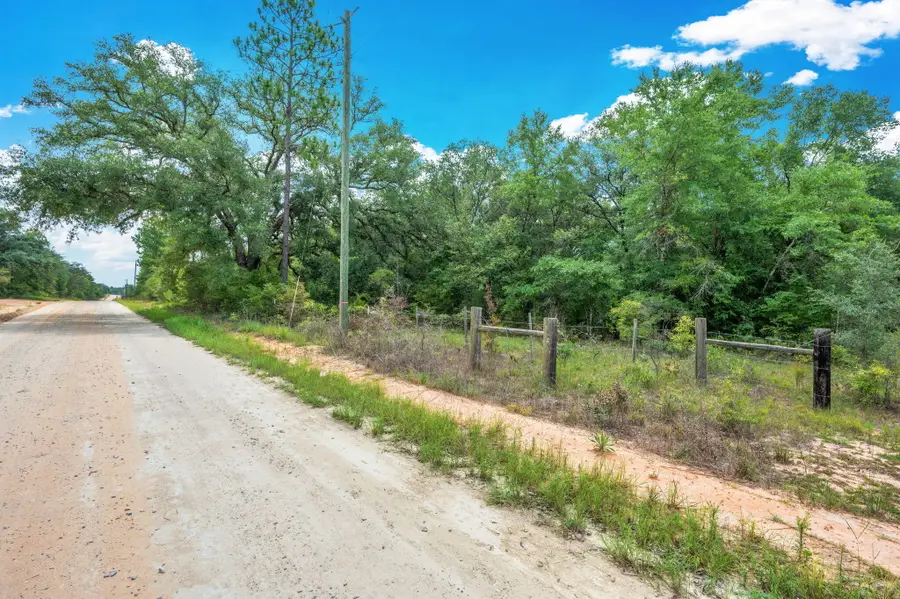 90 Acres Union Hill Road, Vernon, FL 32462 - #3
