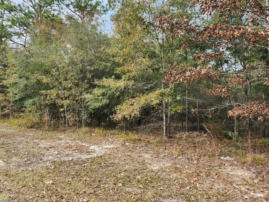 Lot 26 Ten Lake Drive, Defuniak Springs, FL 32433 - #2