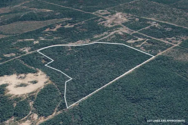 287 High Lonesome Road, DeFuniak Springs, FL 32435