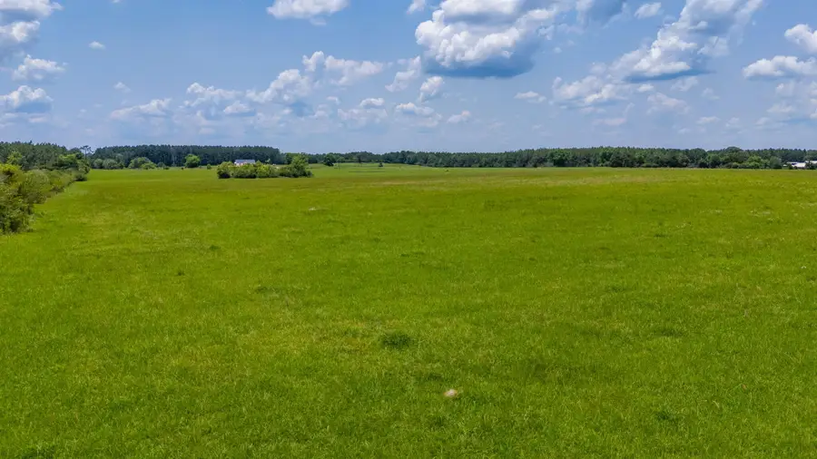 Parcel A Adams Drive, Defuniak Springs, FL 32433 - #3