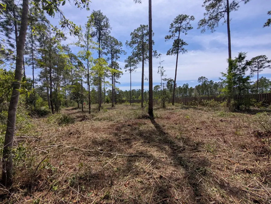 0 Mcdaniels Fishcamp Road, Freeport, FL 32439 - #3