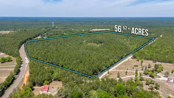 56 Acres Hinote Road, DeFuniak Springs, FL 32433