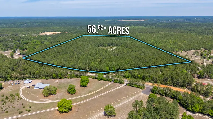56 Acres Hinote Road, Defuniak Springs, FL 32433 - #3
