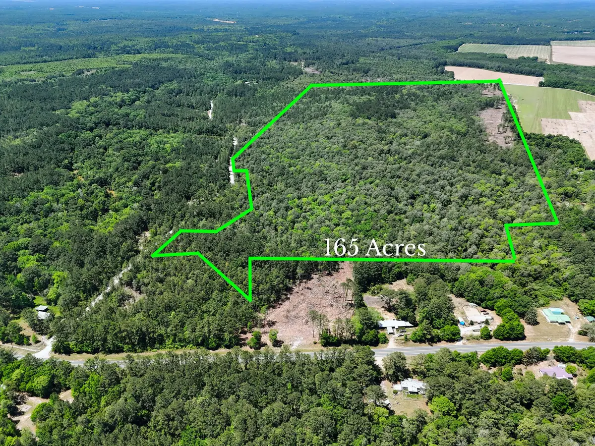 165 Acres Plantation Lane, Defuniak Springs, FL 32433 - #1