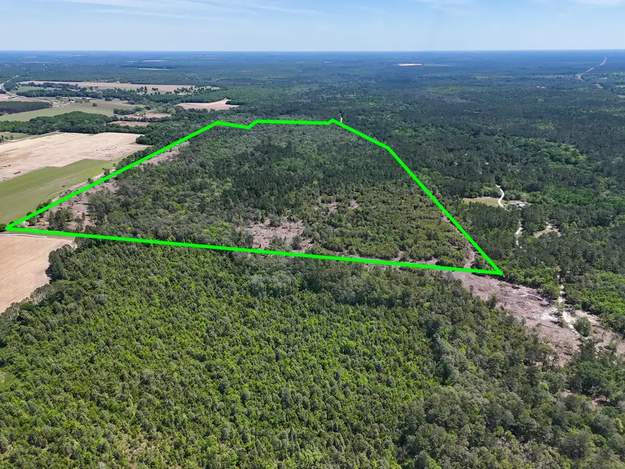 165 Acres Plantation Lane, Defuniak Springs, FL 32433 - #2
