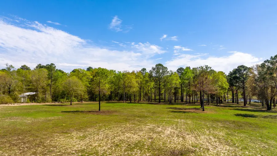 10 Acres S Cannon Drive, Paxton, FL 32538 - #2